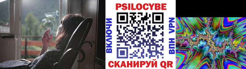 KRAKEN как зайти  Благодарный  Галлюциногенные грибы Psilocybe 