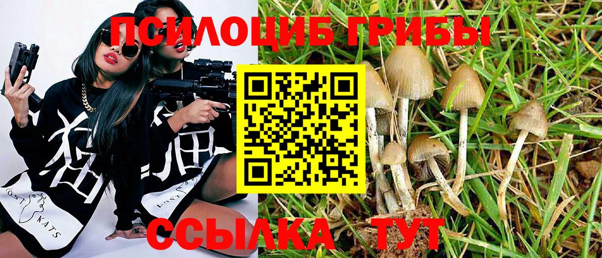 Псилоцибиновые грибы Cubensis Благодарный